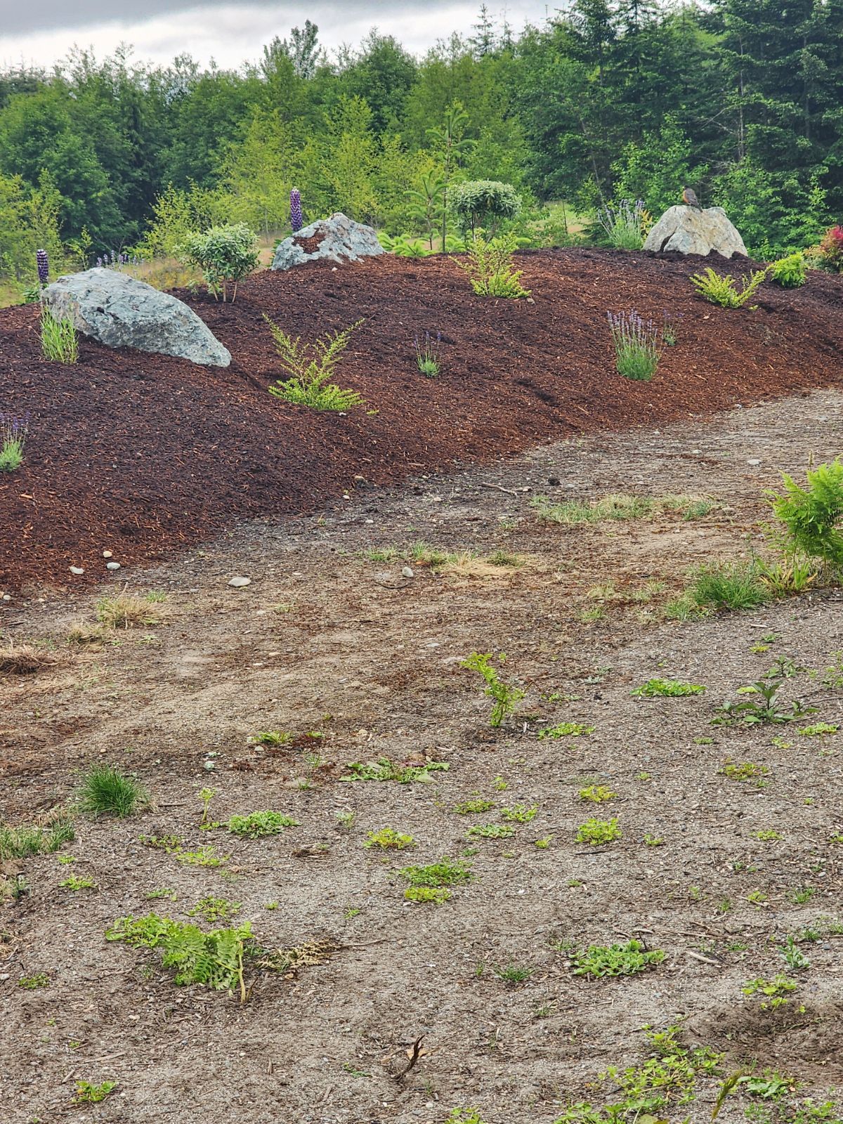 clinton-landscaping-2